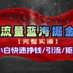 (11302期)热门赛道掘金_小白快速入局挣钱,可矩阵【完整实操】