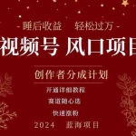 (11331期)拥有睡眠收益的微信视频号大风口项目,轻松月入过万+,多赛道选择,可…