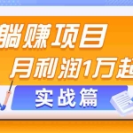 (11322期)躺赚副业项目,月利润1万起,当天见收益,实战篇