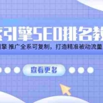 (11351期)搜索引擎SEO排名教程「搜索引擎 推广全系可复制,打造精准被动流量系统」