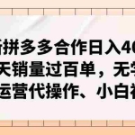 (11343期)最新拼多多合作日入4000+两天销量过百单,无学费、老运营代操作、小白福利