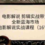 (11367期)电影解说 剪辑实战带货全新蓝海市场,电影解说实战课程(16节)