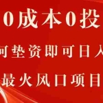 （11387期）真正的0成本0投资项目，无需任何垫资即可日入2000+，当下最火风口项目教学