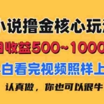 (11461期)小说撸金核心玩法,日收益500-1000+,小白看完照样上手,0成本有手就行