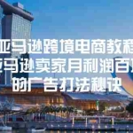 (11453期)亚马逊跨境电商教程:亚马逊卖家月利润百万的广告打法秘诀