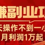(11449期)躺赚副业项目,每天操作不到一小时,月利润1万起,实战篇