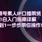 (11441期)视频号素人IP口播带货小白入门指南详解,从0到1一步步带你操作!