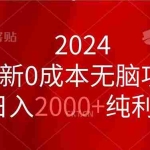 (11444期)2024最新0成本无脑项目,日入2000+纯利润