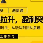 (11435期)拼多多·进阶课:极限拉升/盈利突破:从算法到玩法 从玩法到团队搭建-18节