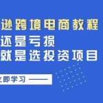 (11432期)亚马逊跨境电商教程:收益还是亏损!选品就是选投资项目