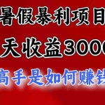 (11422期)暑假暴利项目,每天收益3000+ 努努力能达到5000+,暑假大流量来了