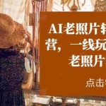 (11477期)AI老照片转视频实操训练营,一线玩家教你AI老照片转视频