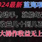 (11470期)有手就行的2024全新蓝海项目,每天1小时收益几十到几百,可放大操作收…