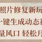 (11503期)老照片修复新玩法,老照片AI一键生成动态视频 全新流量风口 轻松月入过万