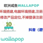 (11549期)wallapop整套详细闭环流程:最稳定封号率低的一个操作账号的办法