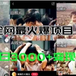 （11546期）全网爆火的AI让老照片动起来教程，蹭热点日赚3000+，内含免费工具一键…