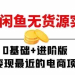 (11535期)2024闲鱼-无货源实操班:0基础+进阶版,离变现最近的电商项目(15节)