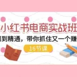 (11533期)小红书电商实战班,从入门到精通,带你抓住又一个赚钱风口(16节)