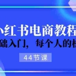 (11532期)2024从0-1学习小红书电商,0基础入门,每个人的机会(44节)