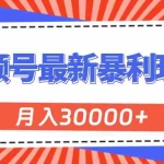 (11588期)视频号最新暴利玩法,轻松月入30000+