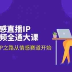 (11590期)情感直播IP短视频全通大课,普通人的IP之路从情感赛道开始(18节)