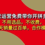 （11576期）拼多多-合作开店日入4000+两天销量过百单，无学费、老运营教操作、小白…