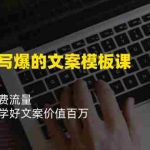 (11570期)看完就 写爆的文案模板课,好文案/免费流量/快速成交/学好文案价值百万