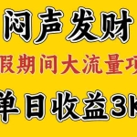 (11558期)闷声发财,假期大流量项目,单日收益3千+ ,拿出执行力,两个月翻身