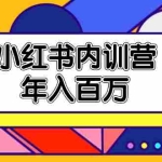 (11621期)小红书内训营,底层逻辑/定位赛道/账号包装/内容策划/爆款创作/年入百万