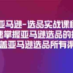 (11620期)亚马逊-选品实战课程,快速掌握亚马逊选品的技巧,覆盖亚马逊选品所有渠道