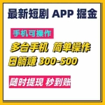 (11618期)最新短剧app掘金/日躺赚300到500/随时提现/秒到账