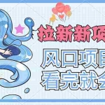 (11613期)拉新界的新玩法,风口项目,看完就会,动手就有