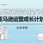 (11668期)亚马逊运营实操必修课,亚马逊运营成长计划(全套课程)