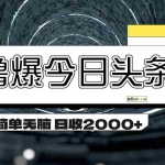 (11665期)撸爆今日头条 简单无脑操作 日收2000+