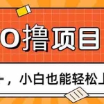 (11657期)0撸项目,每日正常玩手机,日收500+,小白也能轻松上手