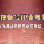 (11654期)Vlog 视频号IP变现特训营,普通人如何通过视频号变现赚钱(15节)