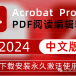 必备！Adobe Acrobat Pro 2024 v24.2.20895 X64 下载及安装步骤全攻略！