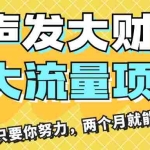 (11688期)闷声发大财,大流量项目,月收益过3万,只要你努力,两个月就能翻身