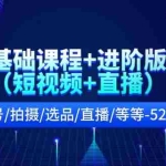 (11686期)抖音基础课程+进阶版课程(短视频+直播)起号/拍摄/选品/直播/等等-52节