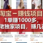 (11685期)【淘宝赚钱项目】1单可赚1000多,大佬独家项目,年赚几百万