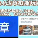 (11743期)2024违章拍照新玩法,推广躺赚+拍照赚钱双模式,日入1000+