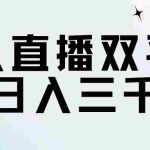 （11733期）无人直播双平台，日入三千
