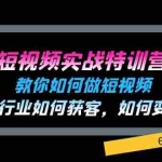 （11729期）短视频实战特训营：教你如何做短视频，各行业如何获客，如何变现 (60节)
