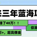 (11716期)未来三年,蓝海赛道,月入3万+