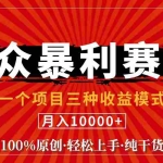 (11695期)视频号【中老年粉深信不疑】小众赛道 100%原创 手把手教学 新号3天收益…