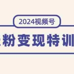 (11779期)2024视频号-涨粉变现特训营:一站式打造稳定视频号涨粉变现模式(10节)