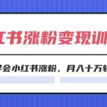 (11762期)2024小红书涨粉变现训练营,快速学会小红书涨粉,月入十万轻松变现(40节)