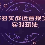 (11759期)拼多多实战运营现场课程,实时玩法,爆款打造,选品、规则解析