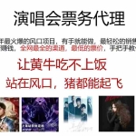 (11753期)演唱会票务代理,2024年最火爆风口项目,全网最低的票价,小白一分钟上…