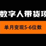 (11751期)2024年Ai数字人带货,小白就可以轻松上手,真正实现月入过万的项目